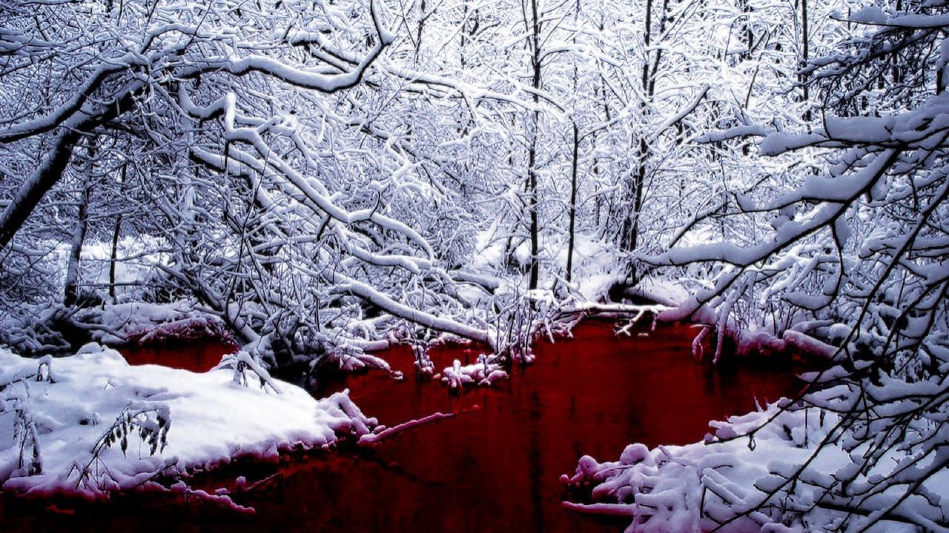 the land of blood and ice
